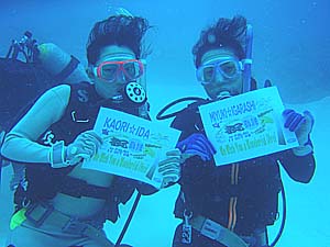 イガイダ50本記念