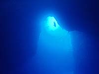 �u���[�z�[��