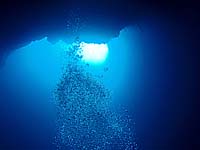 �u���[�z�[��