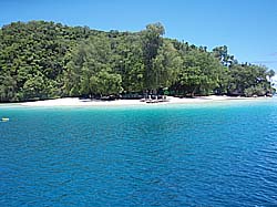 �K�����}�E�X��