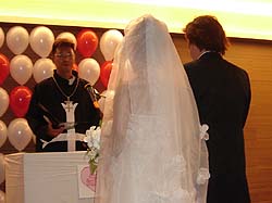 �l�O������