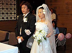 �l�O������