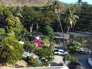 �I���G���g�E�p�[���E���]�[�g