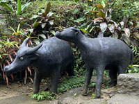 �^�}���E�̑�