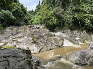 �����W�����O���c�A�[