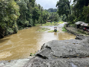 水牛ジャングルツアー