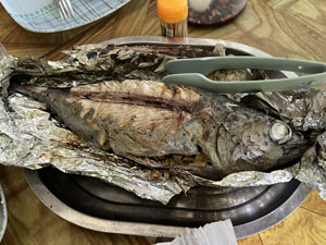 水牛ジャングルツアー