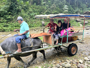 �����W�����O���c�A�[