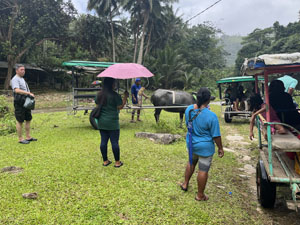 �����W�����O���c�A�[