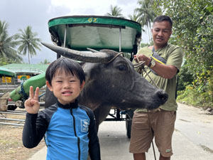 水牛ジャングルツアー