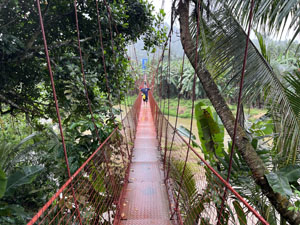 水牛ジャングルツアー