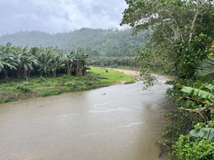 水牛ジャングルツアー