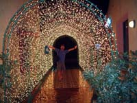 ���t�F�X�^