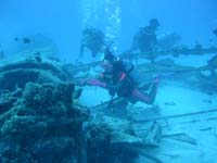 �{���{���̔�s�@