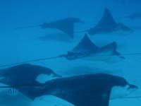 �}�_���g�r�G�C1