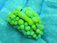 �E�E�E�E�~�E�V