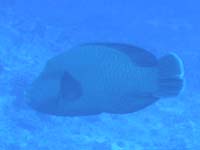 �i�|���I��