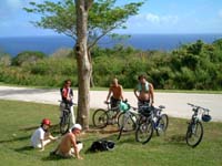 �r���Œf�O