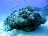 �X��ƁE�E�E