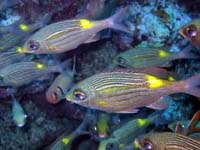 �X��ƁE�E�E