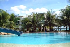 �z�e���̃v�[���݂͑��؂�