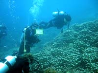 �K�C�h:���񂶂���