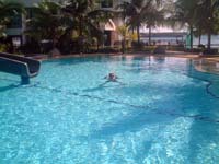 �z�e�����̃v�[��