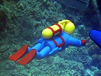 �o���N�[�_