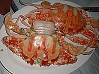 �o�R���h�o�[�x�L���E�̗���5