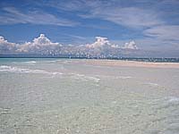 �z���C�g�T���h�A�C�����h