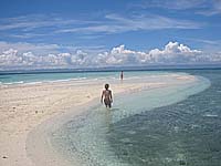 �z���C�g�T���h�A�C�����h