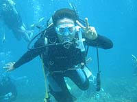 �p�[�v���r���[�e�B�[