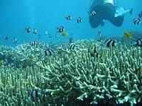 �K�C�h:���񂶂���