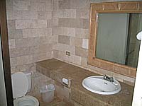 �g�C���Ɛ��ʏ��Q