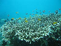 �G�_�T���S�Ə���