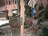 �M�^�[�H��P