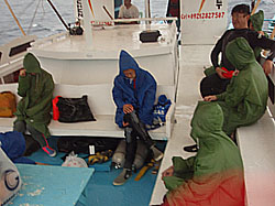 �D���̗l�q