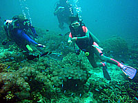 �g�V�ƃW�~�[