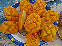 �}���S�[ ���ƃp�C�i�b�v�������������ǁE�E