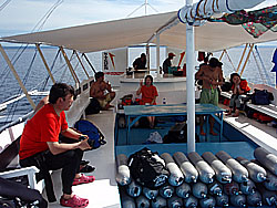 ����Ă���I