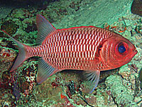 �A�J�}�c�J�T