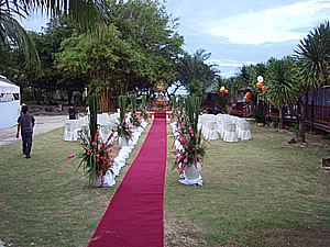 ���������̗l�q