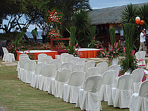 ���������̗l�q