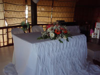 ��I�����̗l�q