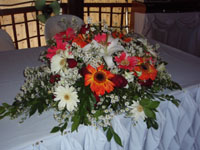 ��I�����̗l�q