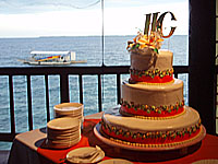 ��I�����̗l�q