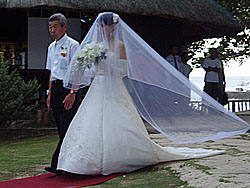 �V�w�ƕ��̓���