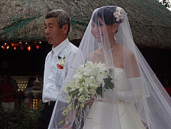 �V�w�ƕ��̓���