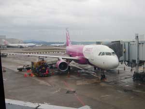 �s�[�`�q�� MM859��