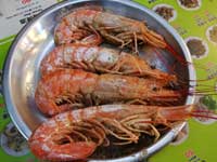 �m�т̒n���H��